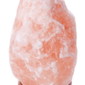 339 Pound Himalayan Salt Lamp